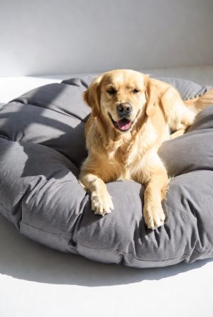 Orthopedic Memory Foam Pet Bed