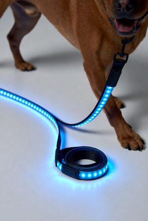 LED Illuminated Dog Leash