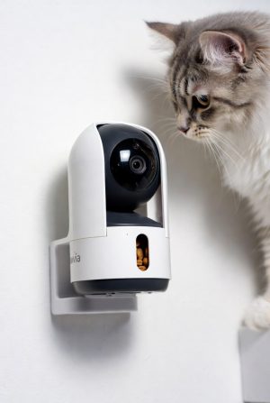 Smart Pet Camera with Treat Dispenser