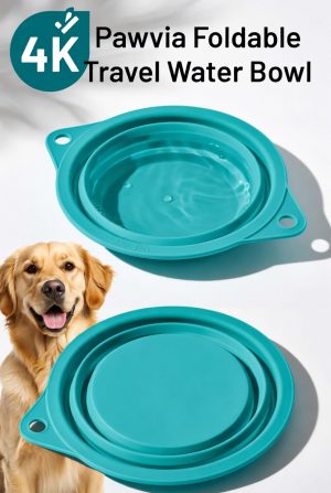 Foldable Travel Water Bowl